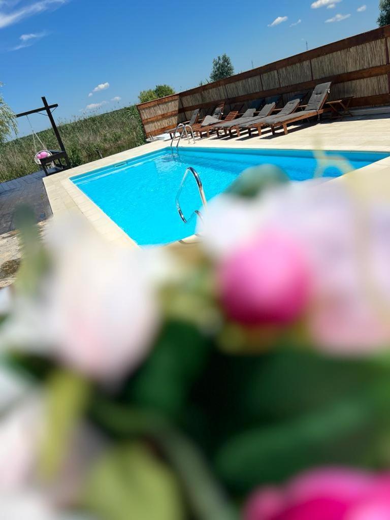 Casa Mariana בית הארחה 3*